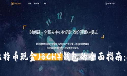 比特币与比特币现金（BCH）钱包的全面指南：投资者必读