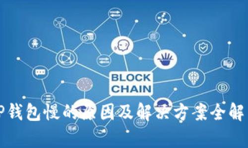 TP钱包慢的原因及解决方案全解析