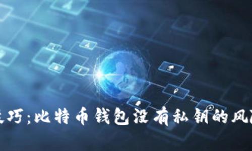 TP钱包使用技巧：比特币钱包没有私钥的风险与解决方案