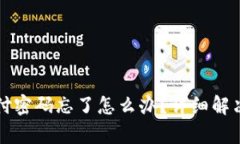 TP钱包支付密码忘了怎么办？详细解决方案解析