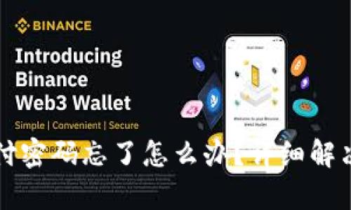 TP钱包支付密码忘了怎么办？详细解决方案解析