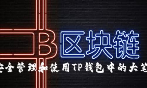 如何安全管理和使用TP钱包中的大笔资金？