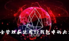 如何安全管理和使用TP钱包中的大笔资金？