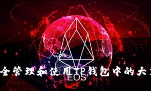 如何安全管理和使用TP钱包中的大笔资金？