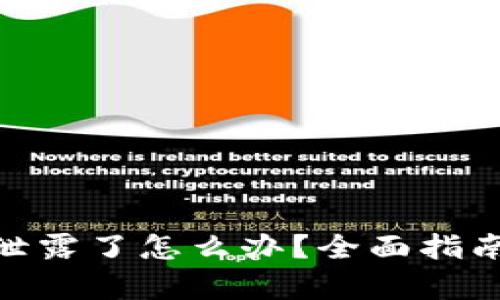 tp钱包密钥泄露了怎么办？全面指南与应对措施