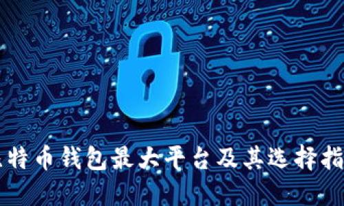 比特币钱包最大平台及其选择指南
