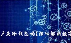 USDT资金账户是冷钱包吗？深入解析数字货币安全