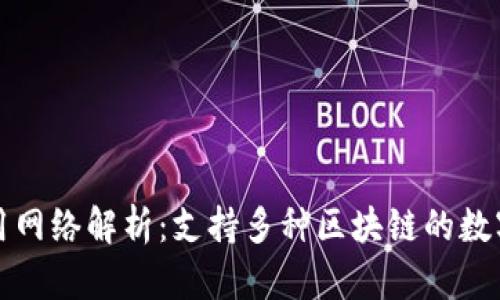 TP钱包使用网络解析：支持多种区块链的数字资产管理