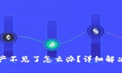 转入TP钱包后资产不见了怎么办？详细解决方案与