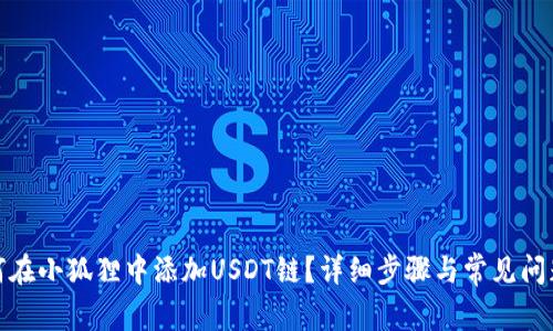 : 如何在小狐狸中添加USDT链？详细步骤与常见问题分析